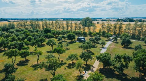 Neighbourhood, Natural landscape, Bird's eye view