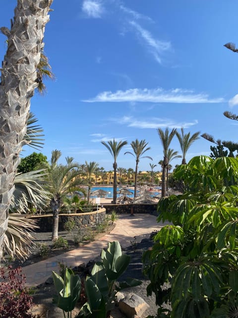 Property view