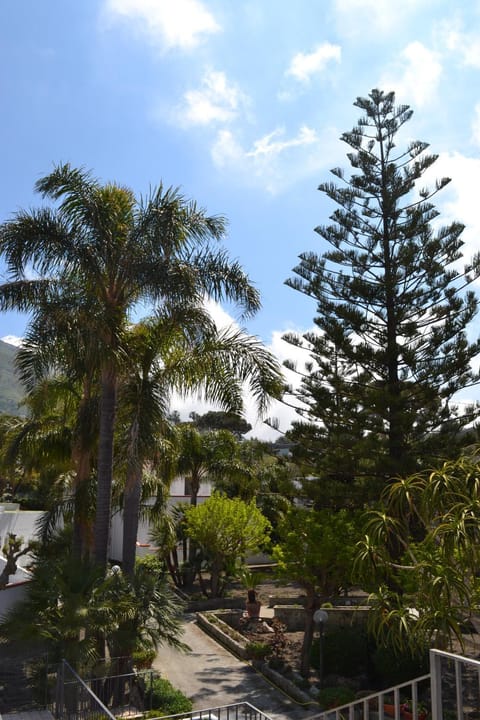 Garden, Garden view, Garden view