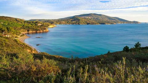 Natural landscape, Beach, On site