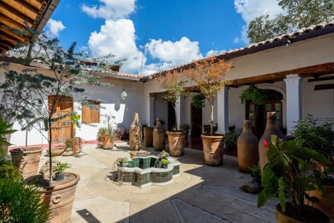 Property building, Patio, Day, Garden, Garden view