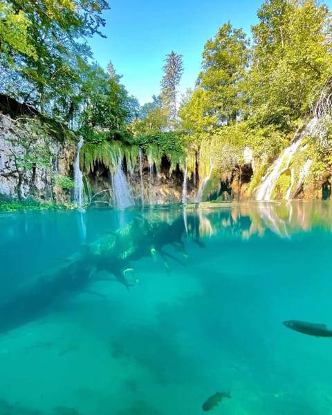 PLITVICE FAIRYTALE Bed and Breakfast in Jezerce