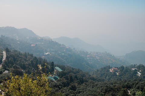 Day, Mountain view