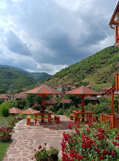 Kuca Stojanovica Topli Do Apartment in Serbia