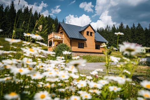 Property building, Spring, Natural landscape, Garden
