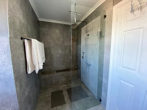 Shower, Bathroom, towels