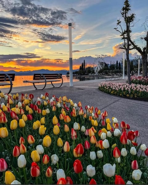 Vanti al Garda Apartment in Bardolino