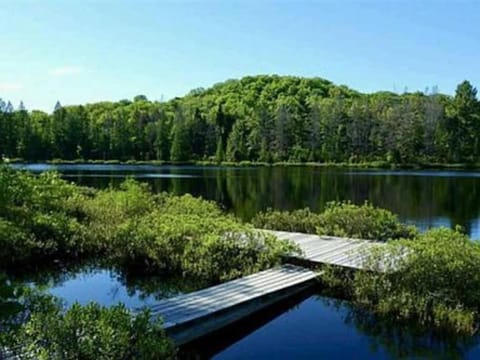 Lake view