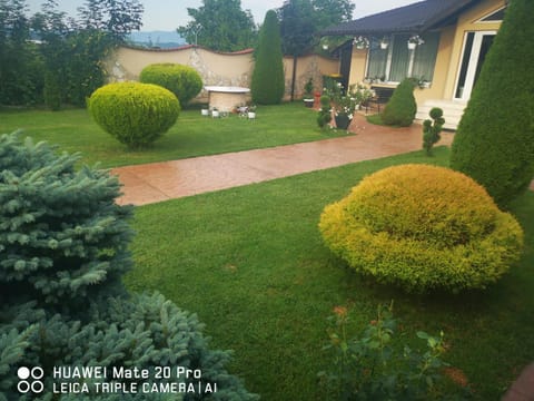 Natural landscape, Garden view