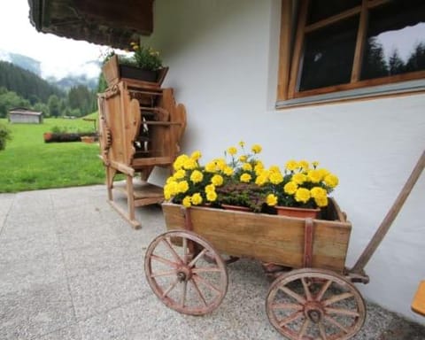 Garden view, Internal: Not applicable to any particular room