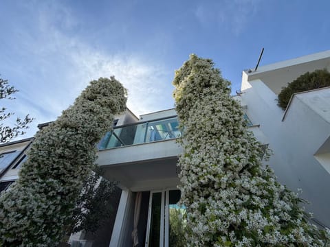 Property building, Spring, Garden, View (from property/room), Garden view