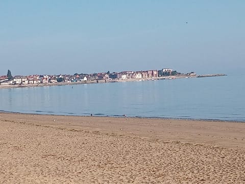 Neighbourhood, Natural landscape, Beach