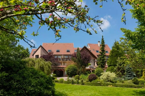 Property building, Day, Garden