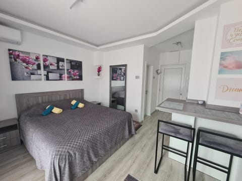 Ema Apartman Apartment in Vojvodina