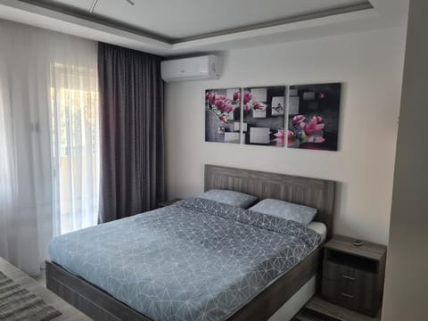 Ema Apartman Apartment in Vojvodina