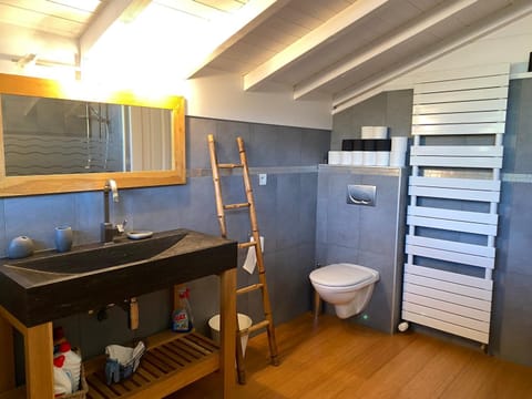 Chambre des Chenets Bed and Breakfast in Morillon