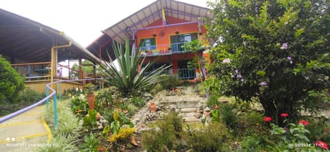 Property building, Garden, Garden view