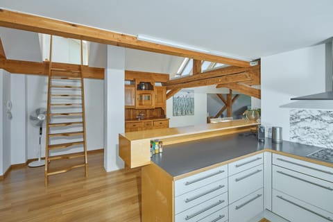 Außergewöhnliches Loft am Pfänderhang mit Seeblick Apartment in Bregenz