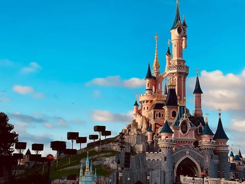 Bel appartement « The Lion King » proche Disney Apartment in Chessy