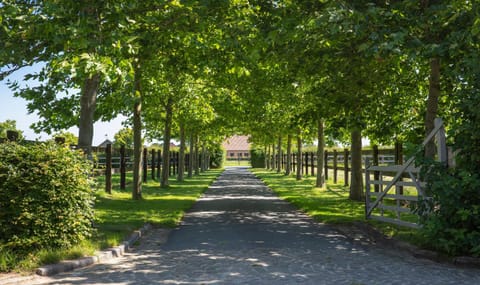 Het Spechtennest Bed and Breakfast in Flanders