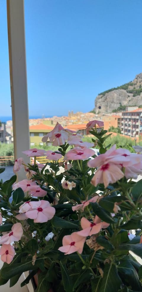 View (from property/room), City view, Sea view