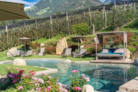 Property building, Living room, Swimming pool