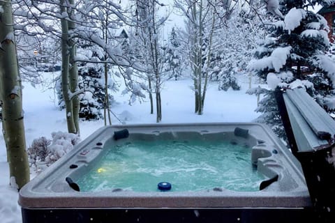 Private Hot Tub Family Townhome in Breckenridge House in Breckenridge
