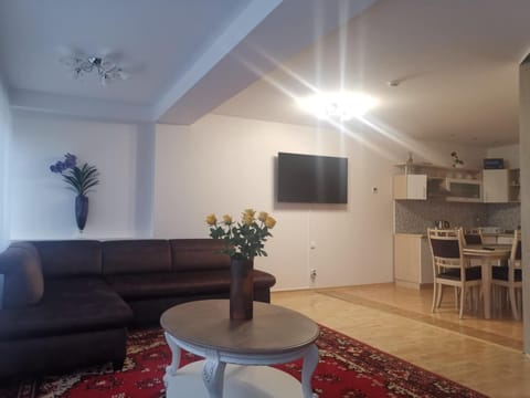 SMILČIŲ apartamentai PALANGOS CENTRE Apartment in Palanga