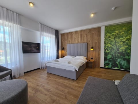 Bed, TV and multimedia, Photo of the whole room, Bedroom