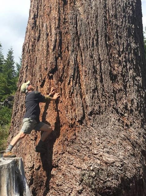 The Great Escape - Port Renfrew & Bunkhouse House in Cowichan Valley