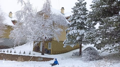 Property building, Natural landscape, Winter