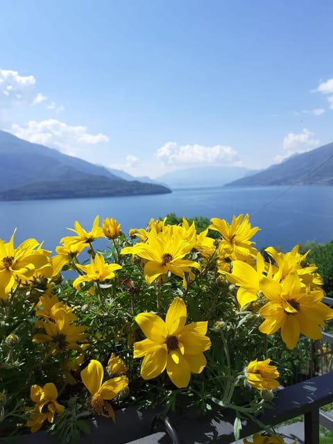 Ca' del Barba Apartment in Domaso