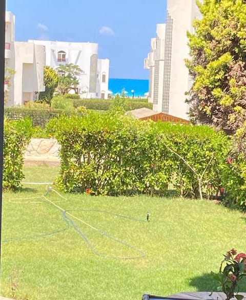 Garden, Garden view