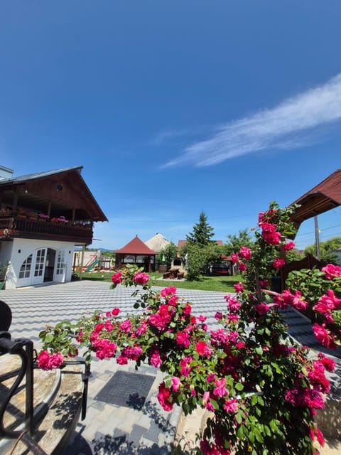 Spring, Garden, Garden view