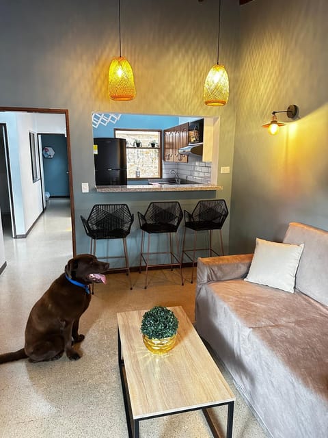 Kitchen or kitchenette, Living room, Seating area, Pets
