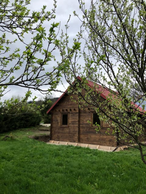 Property building, BBQ facilities, Garden