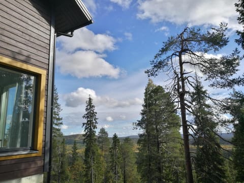 Villa Repolainen House in Lapland