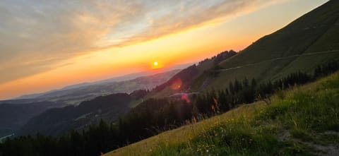 Erd´s Hoimatle Ferienwohnung Apartment in Pfronten