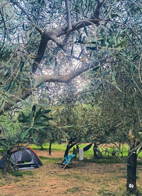 Camping Volme Tent Campground/ 
RV Resort in Banjole