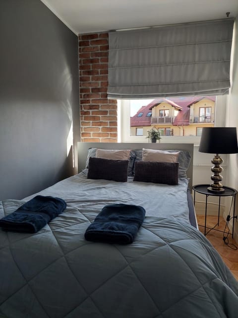 Apartament Rodzinny Przy AquaParku Apartment in Pomeranian Voivodeship