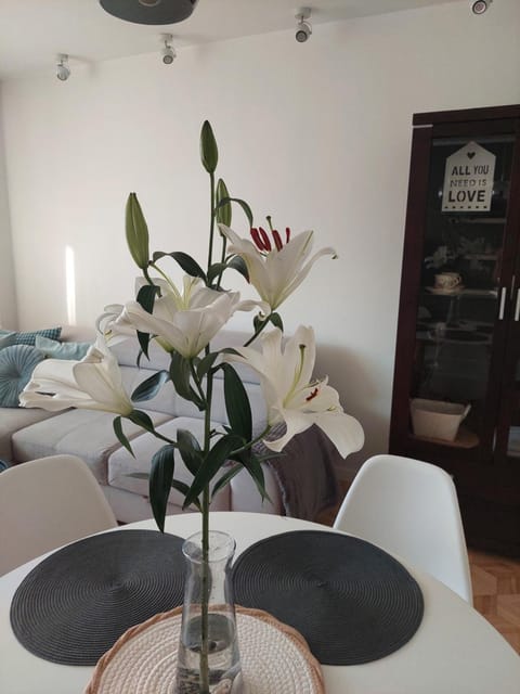 Apartament Rodzinny Przy AquaParku Apartment in Pomeranian Voivodeship