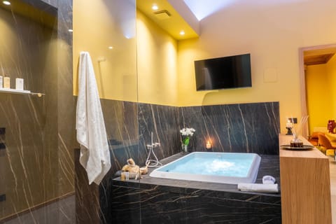 Hot Tub, TV and multimedia