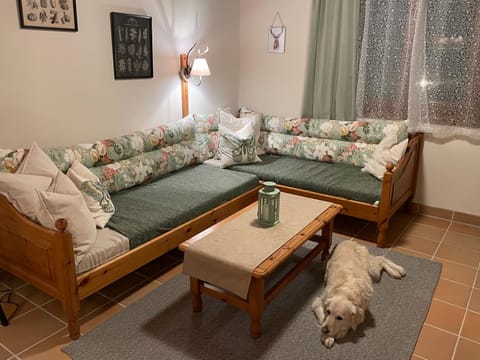 Living room, Pets, Pets
