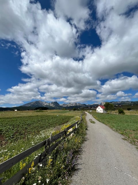 Guest House Nena House in Montenegro