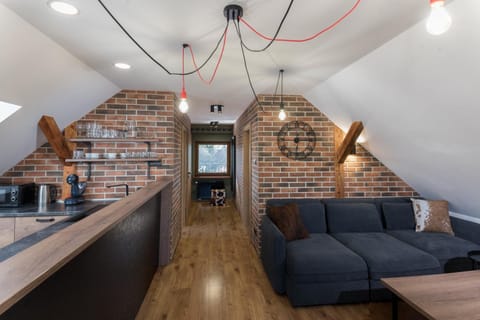 Living room, kitchen