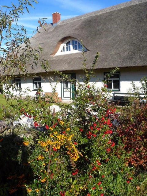 Reetdachhaus am Haff House in Rerik