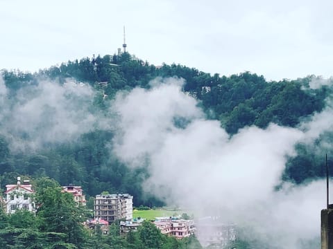 Natural landscape