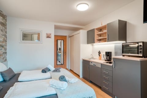 Bed, Kitchen or kitchenette, Photo of the whole room