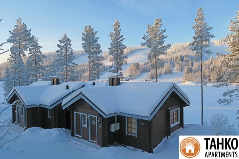 Winter, View (from property/room), Mountain view