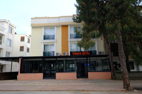 Property building, Day